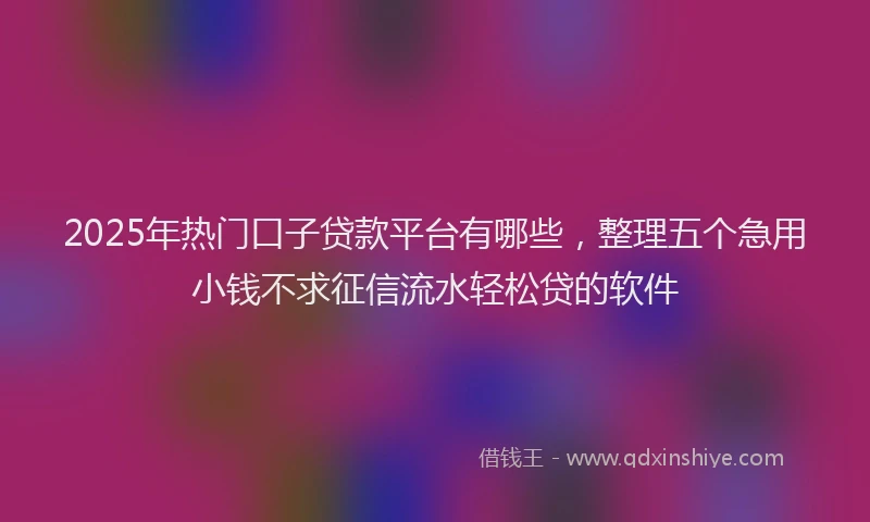 2025年热门口子贷款平台有哪些，整理五个急用小钱不求征信流水轻松贷的软件