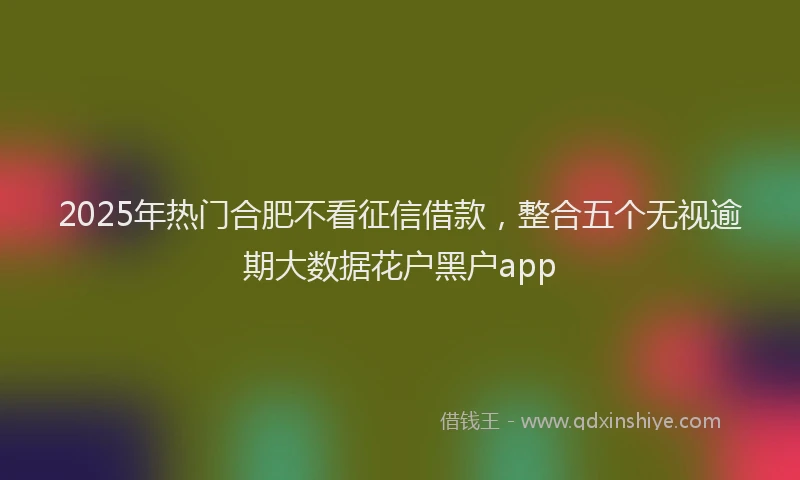 2025年热门合肥不看征信借款，整合五个无视逾期大数据花户黑户app