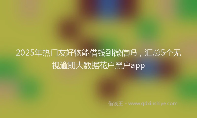 2025年热门友好物能借钱到微信吗，汇总5个无视逾期大数据花户黑户app