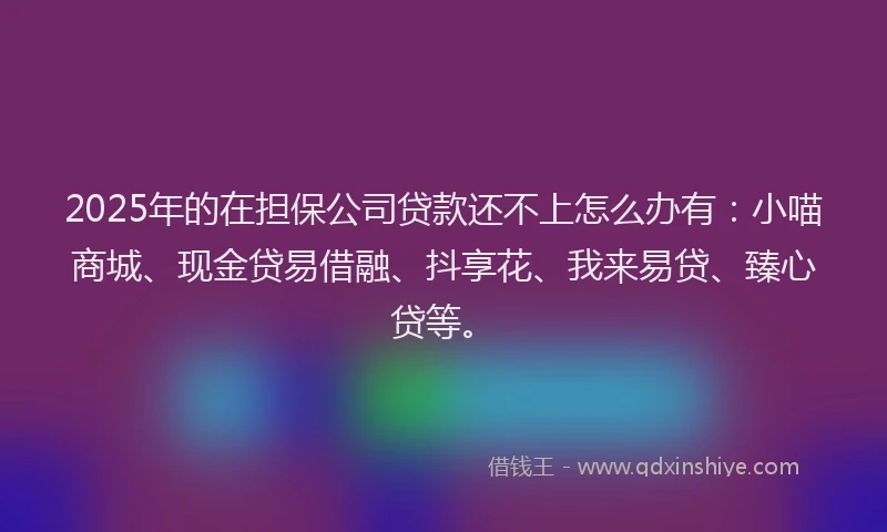 2025年的在担保公司贷款还不上怎么办有：小喵商城、现金贷易借融、抖享花、我来易贷、臻心贷等。