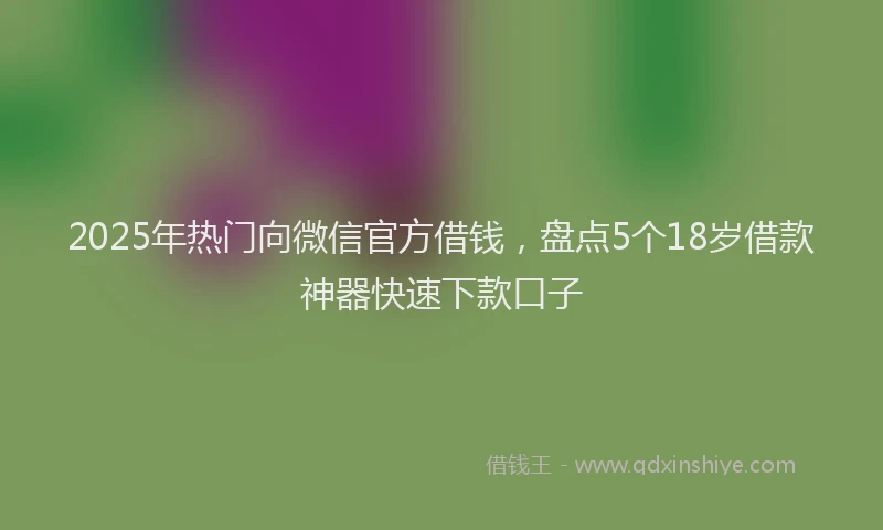 2025年热门向微信官方借钱，盘点5个18岁借款神器快速下款口子