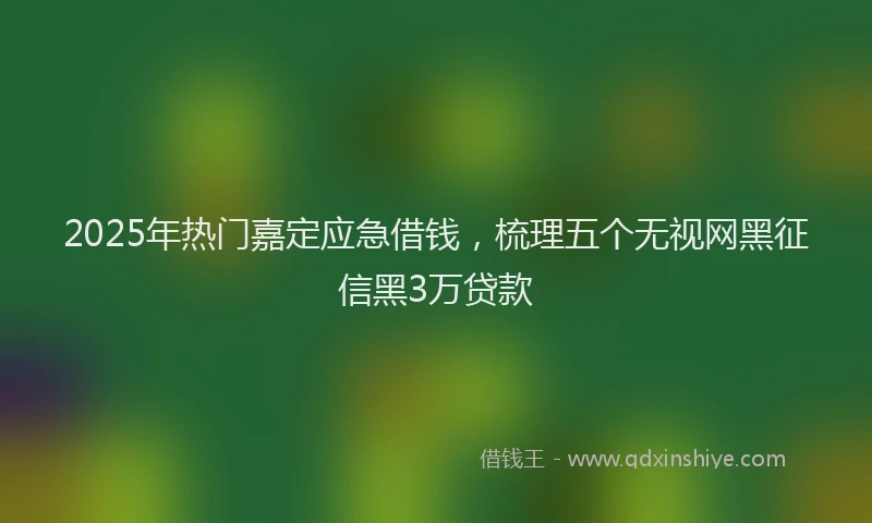2025年热门嘉定应急借钱，梳理五个无视网黑征信黑3万贷款