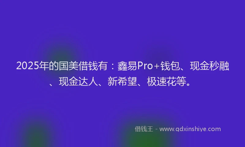 2025年的国美借钱有：鑫易Pro+钱包、现金秒融、现金达人、新希望、极速花等。