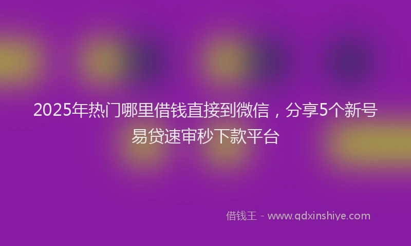 2025年热门哪里借钱直接到微信，分享5个新号易贷速审秒下款平台
