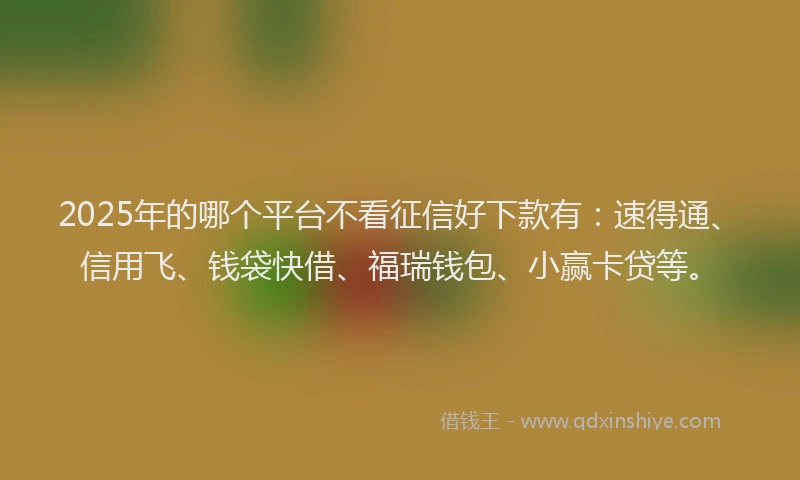 2025年的哪个平台不看征信好下款有：速得通、信用飞、钱袋快借、福瑞钱包、小赢卡贷等。