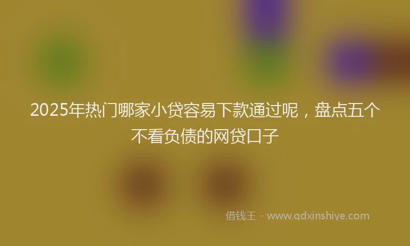 2025年热门哪家小贷容易下款通过呢，盘点五个不看负债的网贷口子