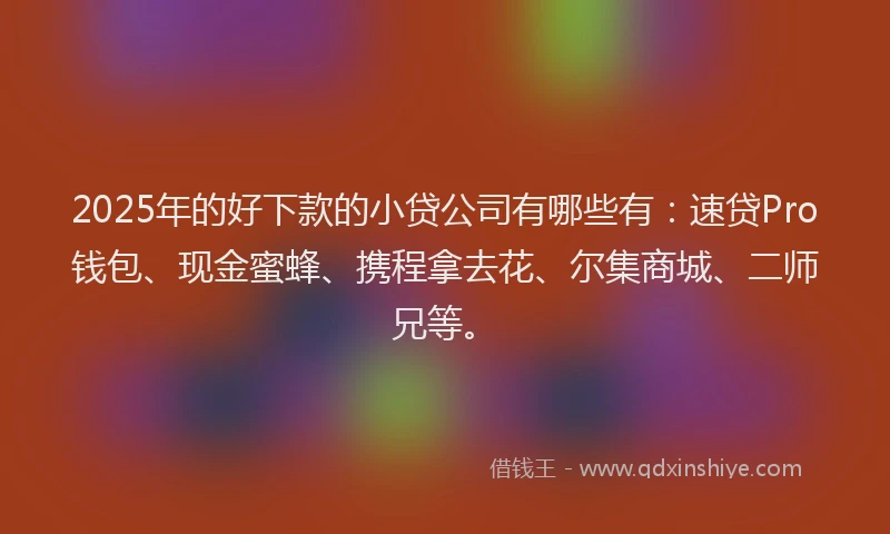 2025年的好下款的小贷公司有哪些有：速贷Pro钱包、现金蜜蜂、携程拿去花、尔集商城、二师兄等。