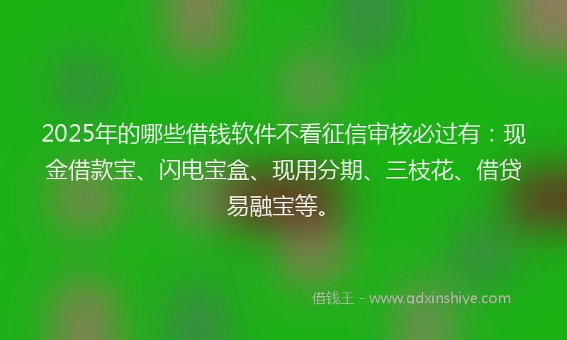2025年的哪些借钱软件不看征信审核必过有：现金借款宝、闪电宝盒、现用分期、三枝花、借贷易融宝等。