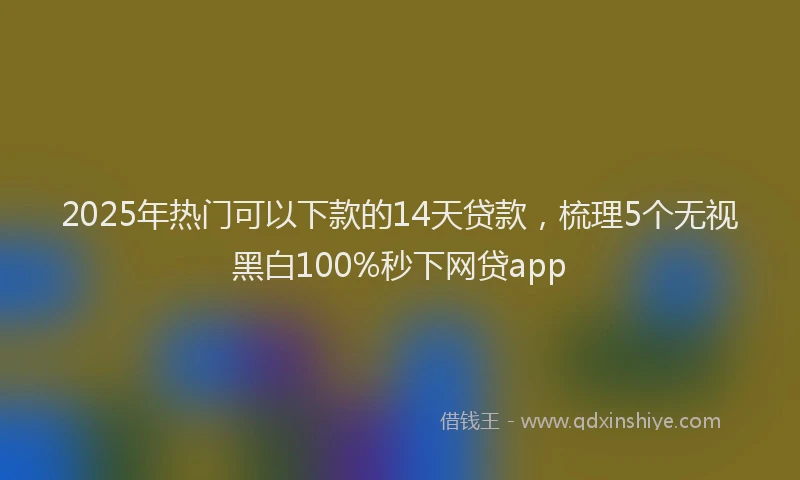 2025年热门可以下款的14天贷款，梳理5个无视黑白100%秒下网贷app