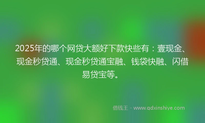 2025年的哪个网贷大额好下款快些有：壹现金、现金秒贷通、现金秒贷通宝融、钱袋快融、闪借易贷宝等。