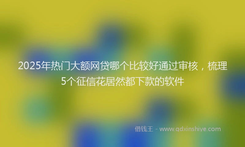 2025年热门大额网贷哪个比较好通过审核，梳理5个征信花居然都下款的软件