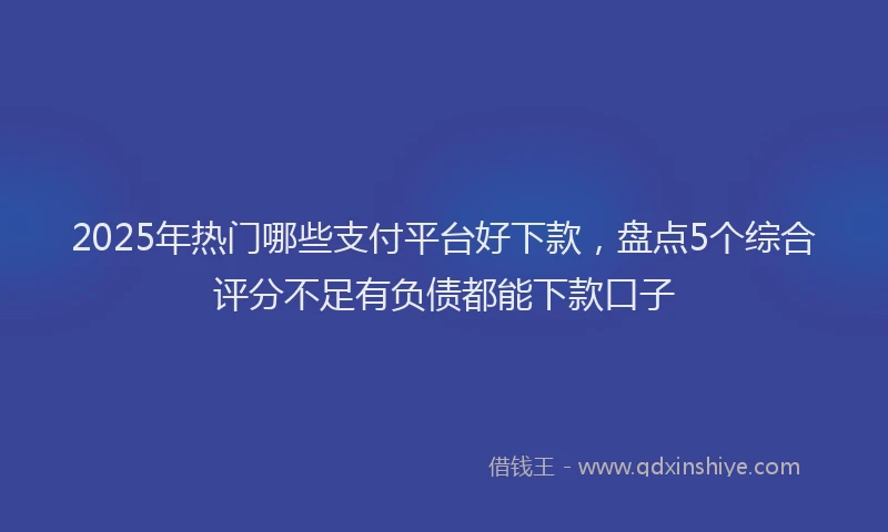 2025年热门哪些支付平台好下款，盘点5个综合评分不足有负债都能下款口子