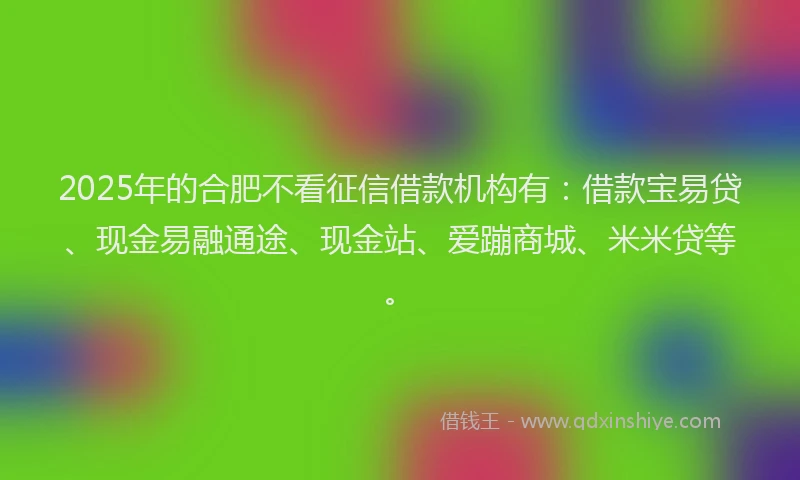 2025年的合肥不看征信借款机构有：借款宝易贷、现金易融通途、现金站、爱蹦商城、米米贷等。