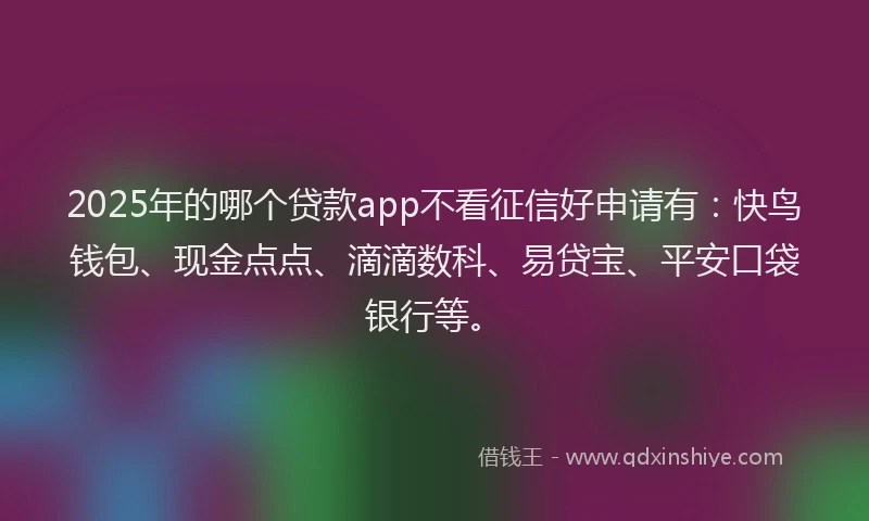 2025年的哪个贷款app不看征信好申请有：快鸟钱包、现金点点、滴滴数科、易贷宝、平安口袋银行等。