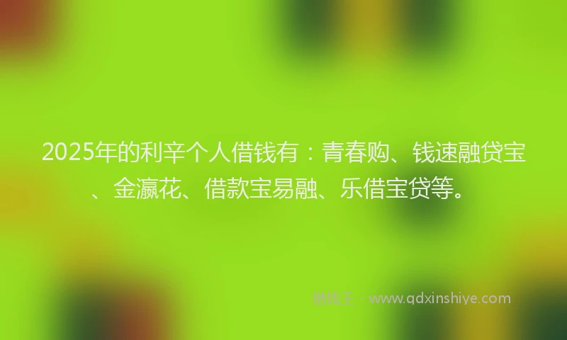 2025年的利辛个人借钱有：青春购、钱速融贷宝、金瀛花、借款宝易融、乐借宝贷等。