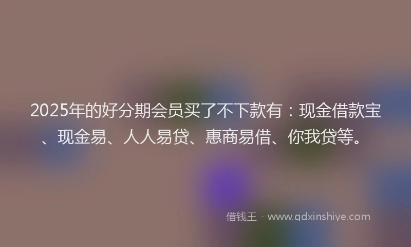 2025年的好分期会员买了不下款有：现金借款宝、现金易、人人易贷、惠商易借、你我贷等。