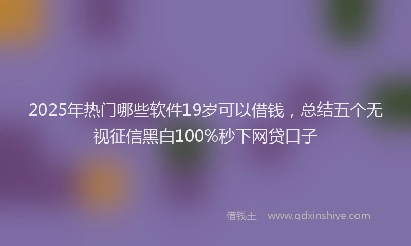 2025年热门哪些软件19岁可以借钱，总结五个无视征信黑白100%秒下网贷口子