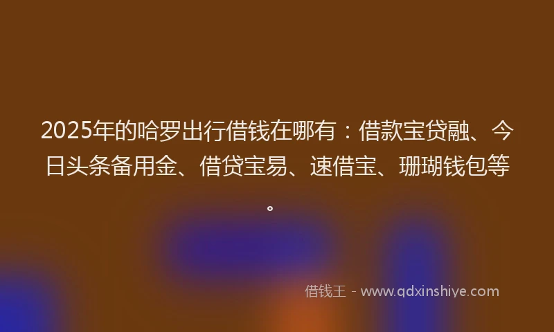 2025年的哈罗出行借钱在哪有：借款宝贷融、今日头条备用金、借贷宝易、速借宝、珊瑚钱包等。
