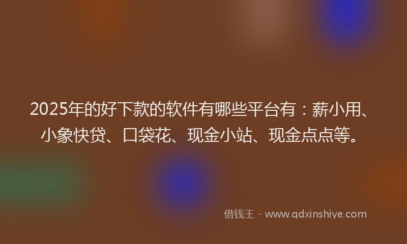 2025年的好下款的软件有哪些平台有：薪小用、小象快贷、口袋花、现金小站、现金点点等。