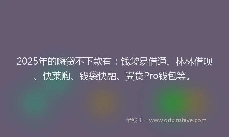2025年的嗨贷不下款有：钱袋易借通、林林借呗、快莱购、钱袋快融、翼贷Pro钱包等。