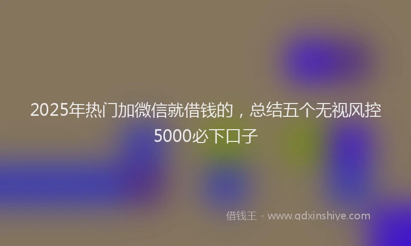 2025年热门加微信就借钱的，总结五个无视风控5000必下口子