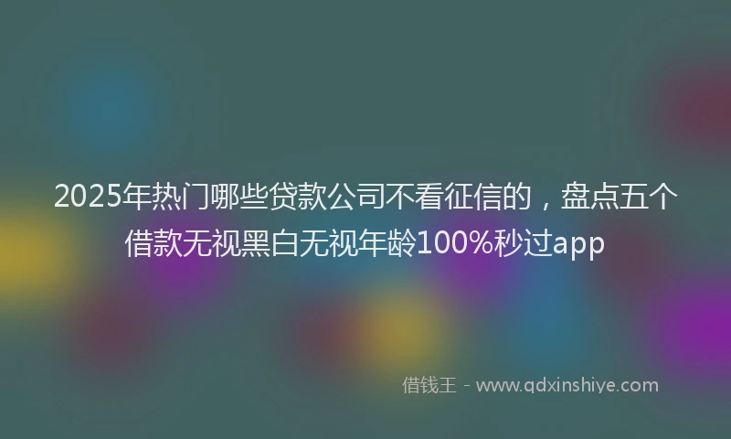 2025年热门哪些贷款公司不看征信的，盘点五个借款无视黑白无视年龄100%秒过app