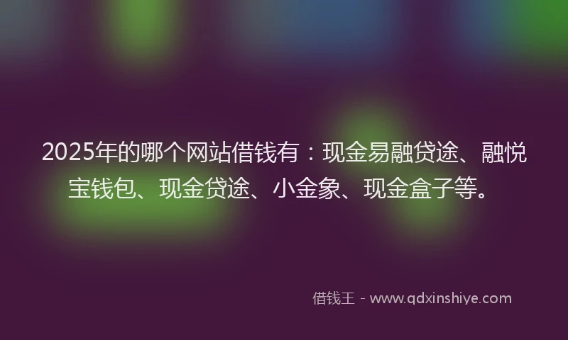 2025年的哪个网站借钱有：现金易融贷途、融悦宝钱包、现金贷途、小金象、现金盒子等。