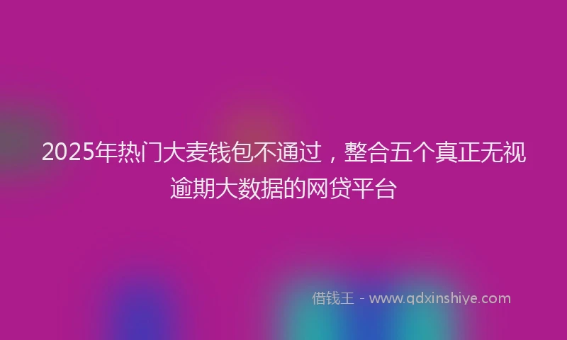2025年热门大麦钱包不通过，整合五个真正无视逾期大数据的网贷平台
