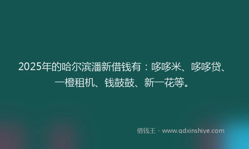 2025年的哈尔滨潘新借钱有：哆哆米、哆哆贷、一橙租机、钱鼓鼓、新一花等。