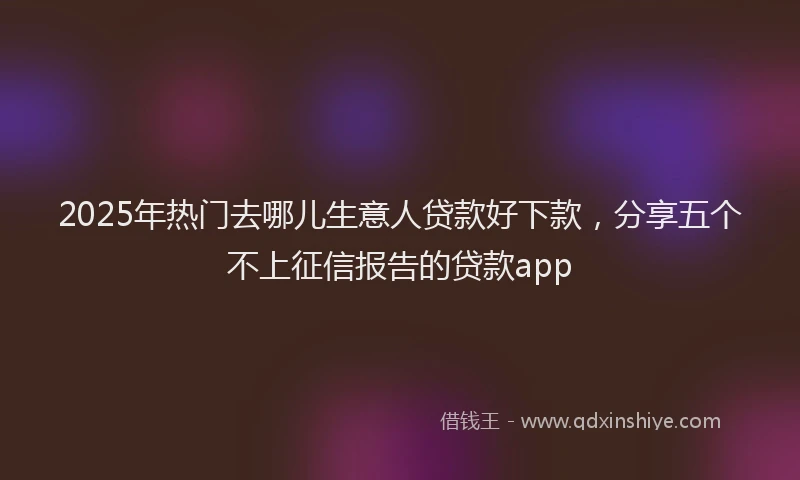 2025年热门去哪儿生意人贷款好下款，分享五个不上征信报告的贷款app