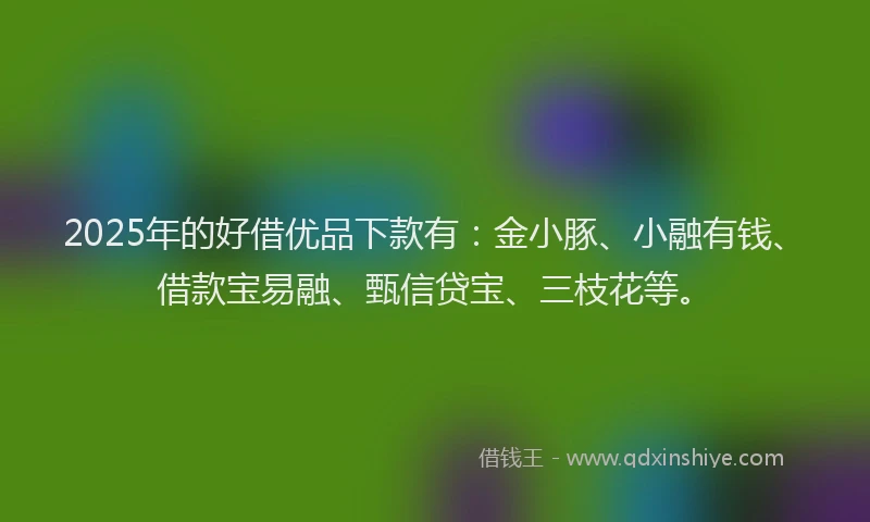 2025年的好借优品下款有：金小豚、小融有钱、借款宝易融、甄信贷宝、三枝花等。