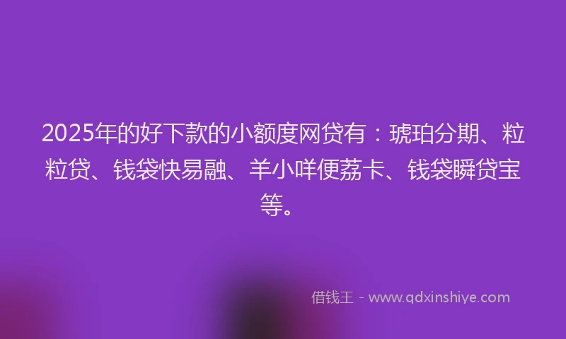 2025年的好下款的小额度网贷有：琥珀分期、粒粒贷、钱袋快易融、羊小咩便荔卡、钱袋瞬贷宝等。