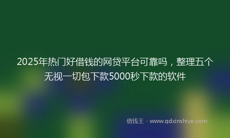 2025年热门好借钱的网贷平台可靠吗，整理五个无视一切包下款5000秒下款的软件