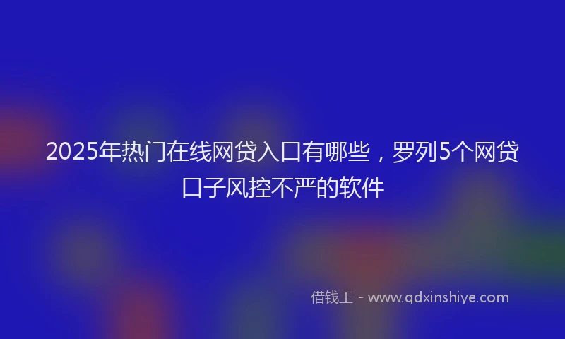 2025年热门在线网贷入口有哪些，罗列5个网贷口子风控不严的软件