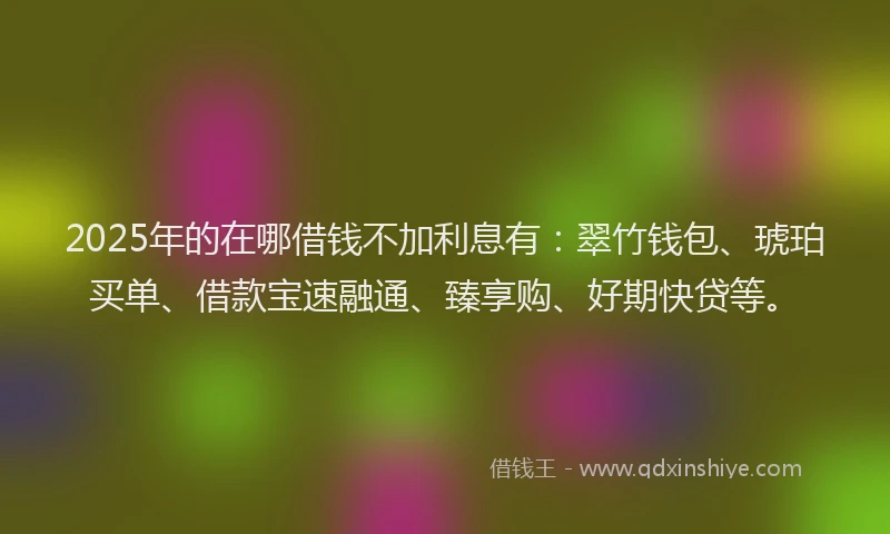 2025年的在哪借钱不加利息有：翠竹钱包、琥珀买单、借款宝速融通、臻享购、好期快贷等。