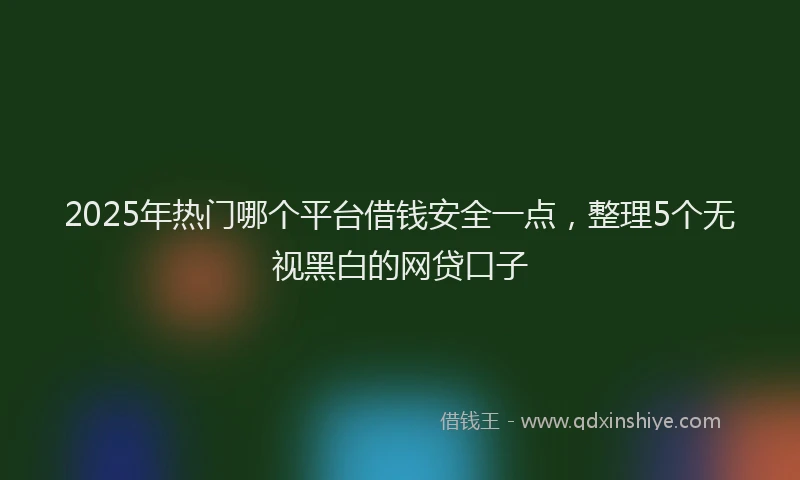 2025年热门哪个平台借钱安全一点，整理5个无视黑白的网贷口子