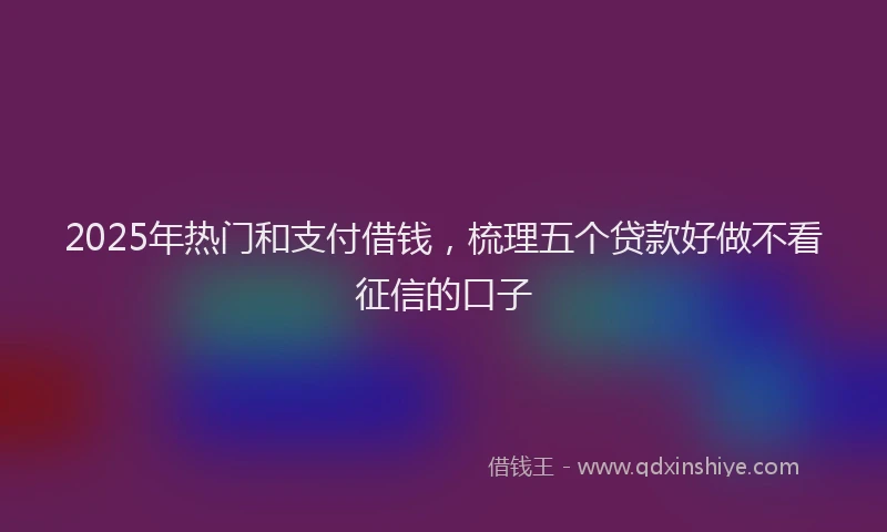 2025年热门和支付借钱，梳理五个贷款好做不看征信的口子
