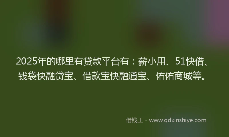 2025年的哪里有贷款平台有：薪小用、51快借、钱袋快融贷宝、借款宝快融通宝、佑佑商城等。