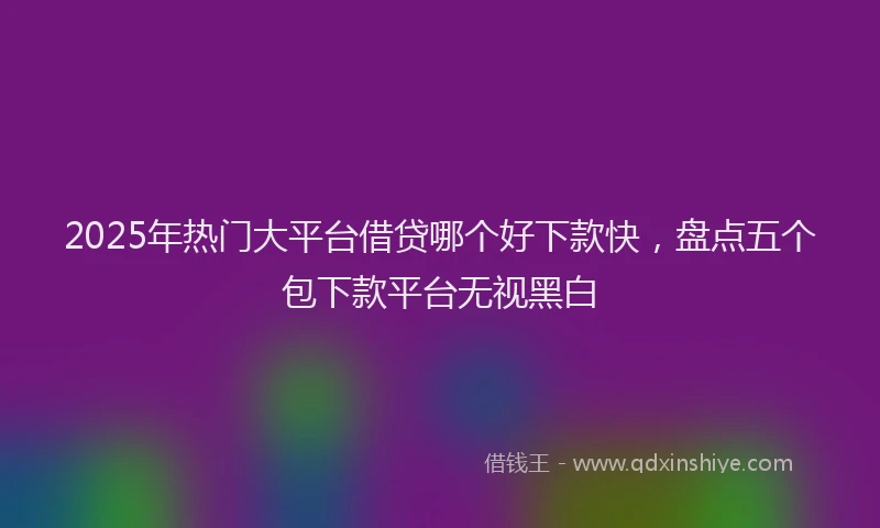 2025年热门大平台借贷哪个好下款快，盘点五个包下款平台无视黑白