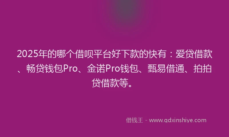 2025年的哪个借呗平台好下款的快有：爱贷借款、畅贷钱包Pro、金诺Pro钱包、甄易借通、拍拍贷借款等。