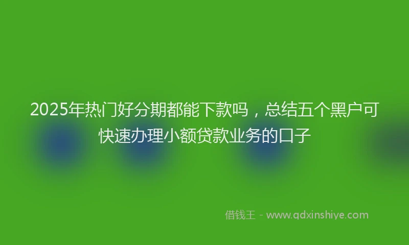 2025年热门好分期都能下款吗，总结五个黑户可快速办理小额贷款业务的口子