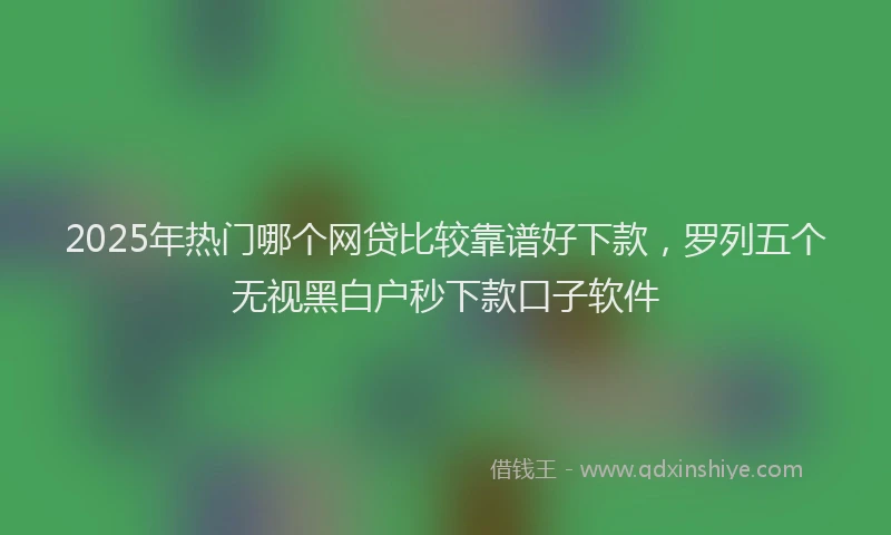 2025年热门哪个网贷比较靠谱好下款，罗列五个无视黑白户秒下款口子软件