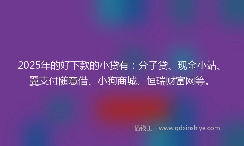 2025年的好下款的小贷有：分子贷、现金小站、翼支付随意借、小狗商城、恒瑞财富网等。