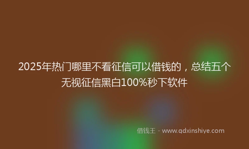 2025年热门哪里不看征信可以借钱的，总结五个无视征信黑白100%秒下软件