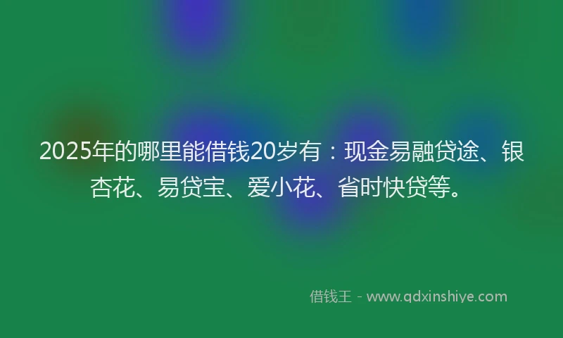 2025年的哪里能借钱20岁有：现金易融贷途、银杏花、易贷宝、爱小花、省时快贷等。