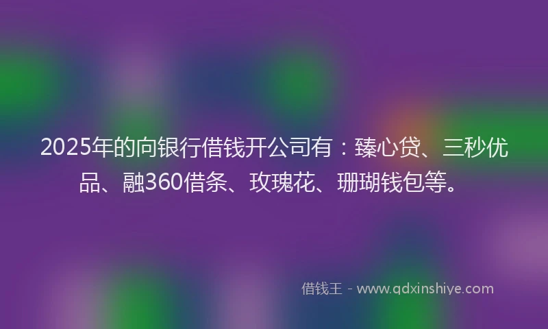 2025年的向银行借钱开公司有：臻心贷、三秒优品、融360借条、玫瑰花、珊瑚钱包等。