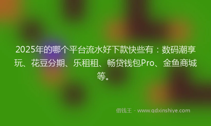 2025年的哪个平台流水好下款快些有：数码潮享玩、花豆分期、乐租租、畅贷钱包Pro、金鱼商城等。