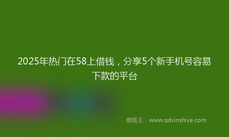 2025年热门在58上借钱，分享5个新手机号容易下款的平台