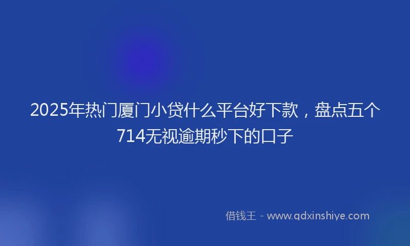 2025年热门厦门小贷什么平台好下款，盘点五个714无视逾期秒下的口子