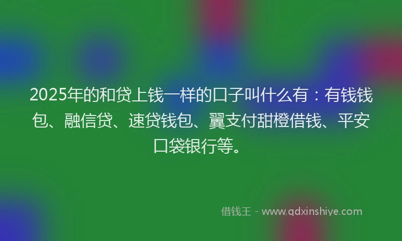 2025年的和贷上钱一样的口子叫什么有：有钱钱包、融信贷、速贷钱包、翼支付甜橙借钱、平安口袋银行等。